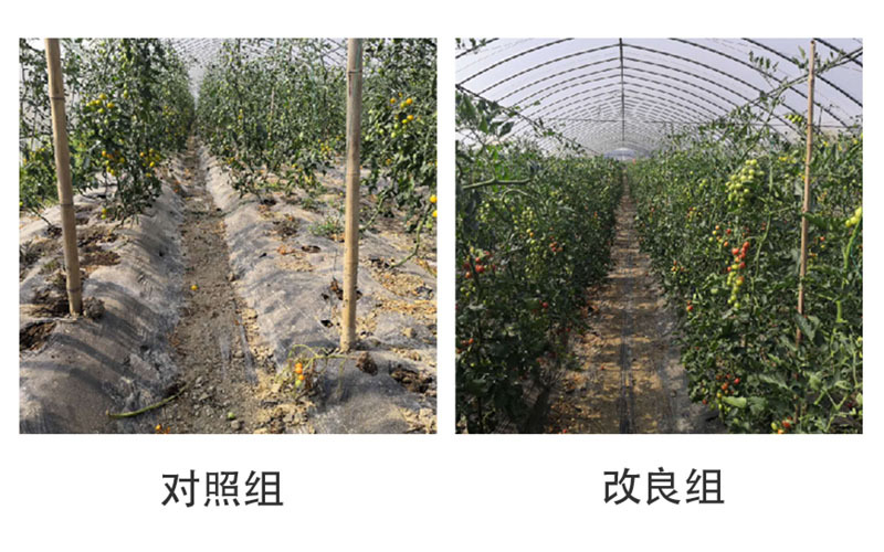 养分检测与分析