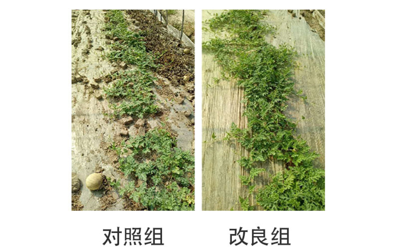理化检测与分析